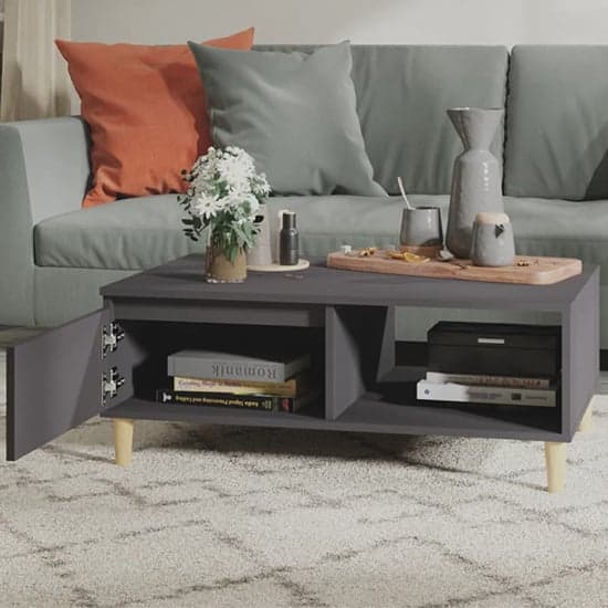 Agron Wooden Coffee Table With 1 Door In Grey_2