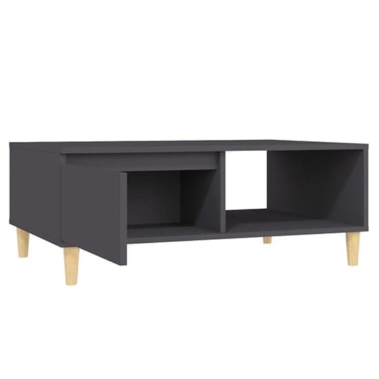 Agron Wooden Coffee Table With 1 Door In Grey_4