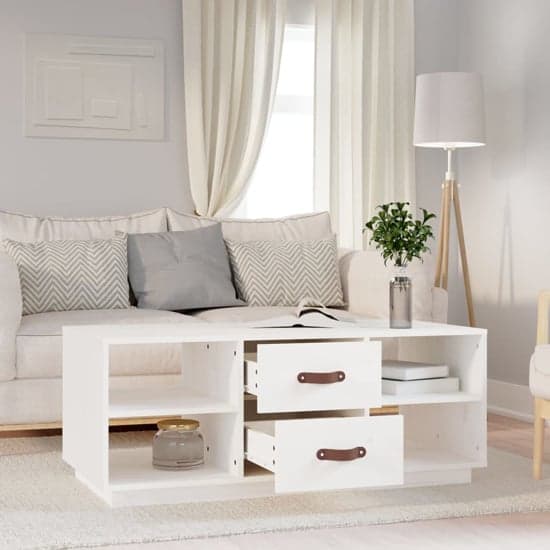 Aivar Pine Wood Coffee Table With 2 Drawers In White_2
