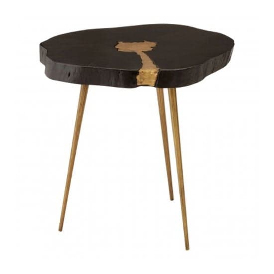 Almory Wooden Side Table In Black And Gold_2