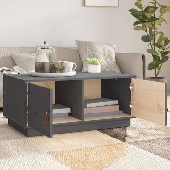 Anicet Pinewood Coffee Table With 2 Doors In Grey_2