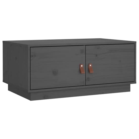 Anicet Pinewood Coffee Table With 2 Doors In Grey_3