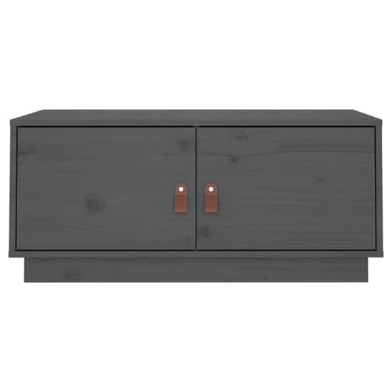 Anicet Pinewood Coffee Table With 2 Doors In Grey_4