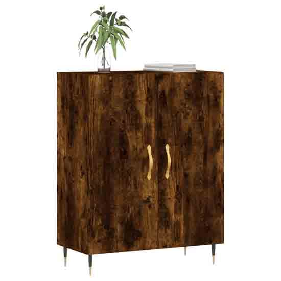 Ardmore Wooden Storage Cabinet With 2 Doors In Smoked Oak_2