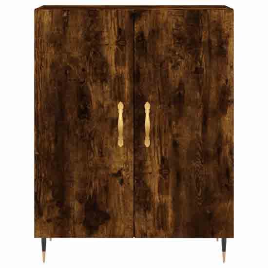 Ardmore Wooden Storage Cabinet With 2 Doors In Smoked Oak_4