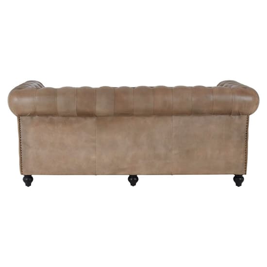 Australis Upholstered Leather 3 Seater Sofa In Light Brown_4