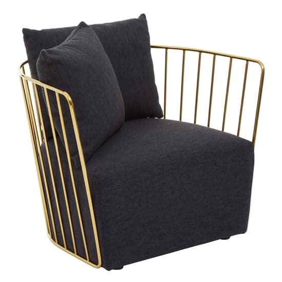 Azaltro Fabric Lounge Chair With Gold Steel Frame In Black_1