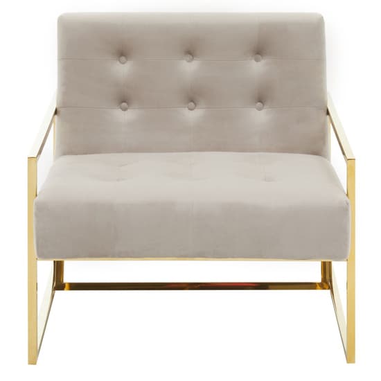 Azaltro Velvet Lounge Chair With Gold Steel Frame In Mink_2