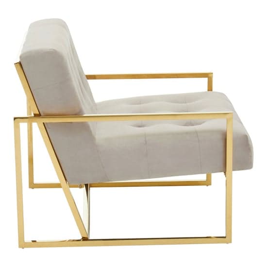 Azaltro Velvet Lounge Chair With Gold Steel Frame In Mink_3