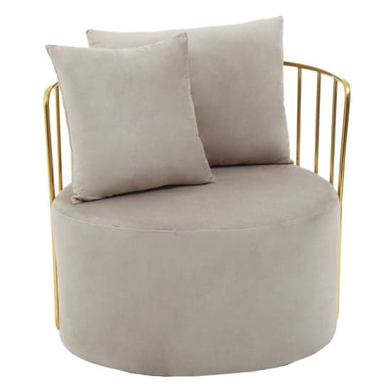 Azaltro Velvet Lounge Chair With Two Pillows In Mink_2