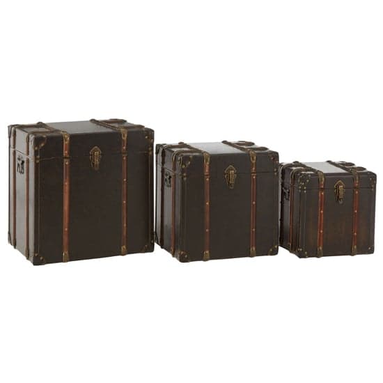 Bagort Wooden Set Of 3 Storage Trunks In Brown Leather Effect_1