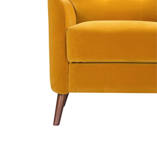 Baron Velvet Occasional Lounge Chair In Mustard_5