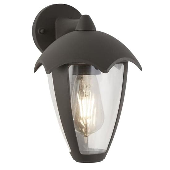 Bluebell Outdoor Polycarbonate Wall Light In Dark Grey_1