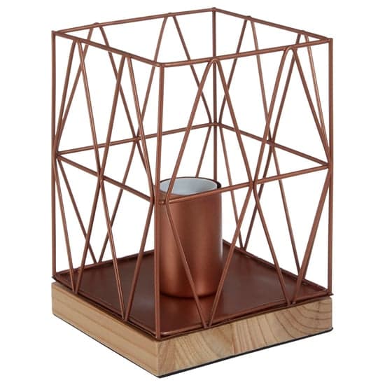 Boke Copper Wire Frame Table Lamp With Natural Wooden Base_2