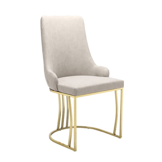Brixen Beige Faux Leather Dining Chairs With Gold Frame In Pair_2