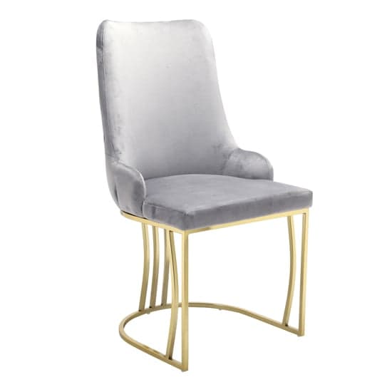 Brixen Grey Plush Velvet Dining Chairs With Gold Frame In Pair_2
