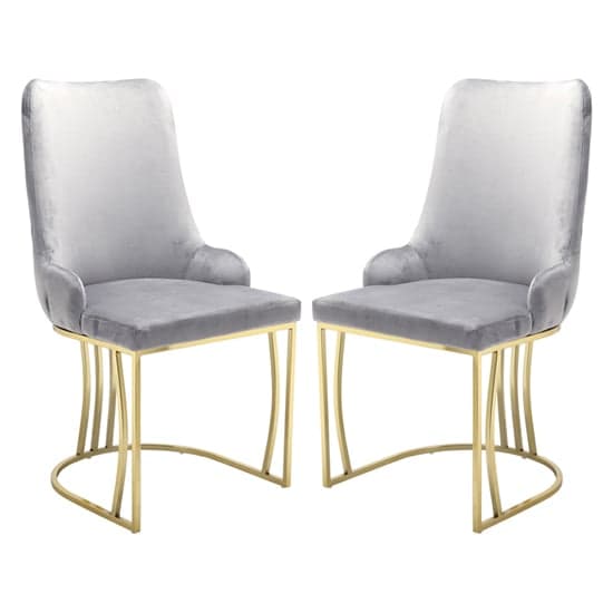 Brixen Grey Plush Velvet Dining Chairs With Gold Frame In Pair_1