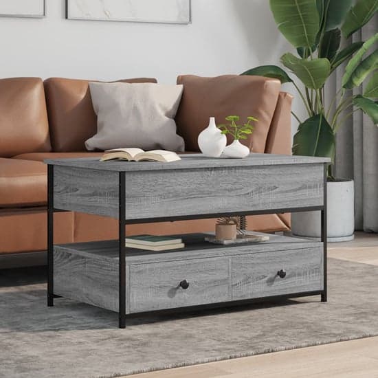 Chester Wooden Coffee Table Large With 2 Drawers In Grey Sonoma_1