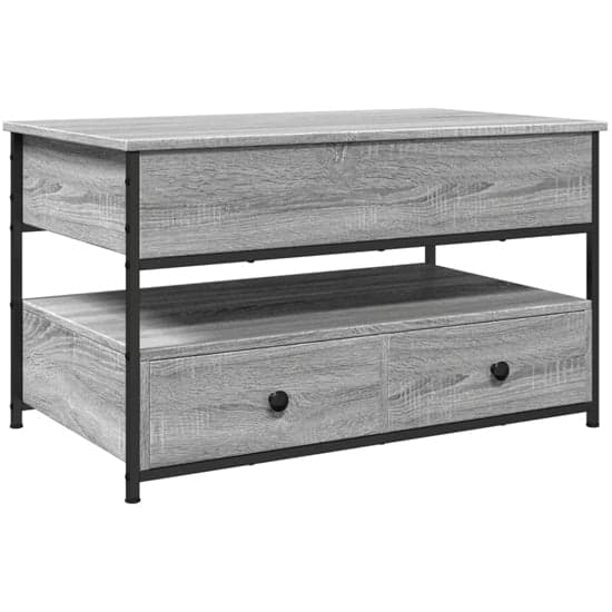 Chester Wooden Coffee Table Large With 2 Drawers In Grey Sonoma_2