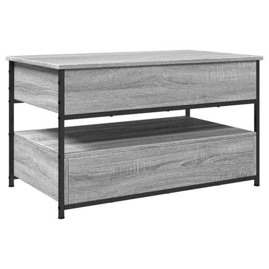 Chester Wooden Coffee Table Large With 2 Drawers In Grey Sonoma_5