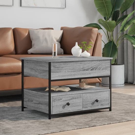 Chester Wooden Coffee Table Small With 2 Drawers In Grey Sonoma_1