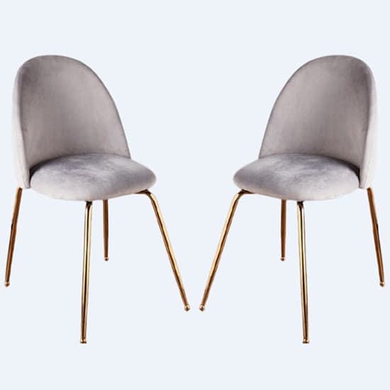 Coonan Grey Velvet Dining Chairs With Gold Legs In Pair_1