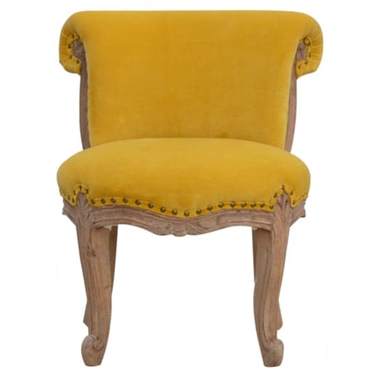 Cuzco Velvet Accent Chair In Mustard And Sunbleach_1