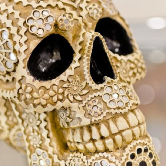 Tesk Decorative Model Skull Sculpture_6
