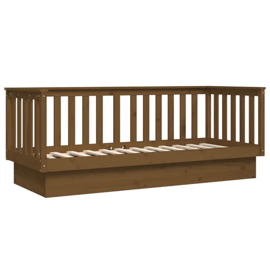 Diza Pinewood Single Day Bed In Honey Brown_3