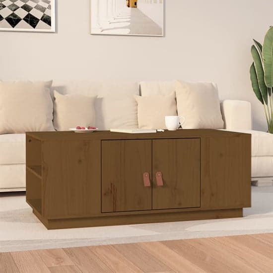 Drika Pinewood Coffee Table With 2 Doors And Shelves In Brown_1