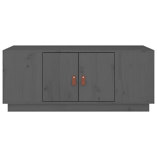 Drika Pinewood Coffee Table With 2 Doors And Shelves In Grey_4