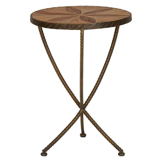 Eltro Small Wooden Side Table With Antique Brass Legs In Brown_1