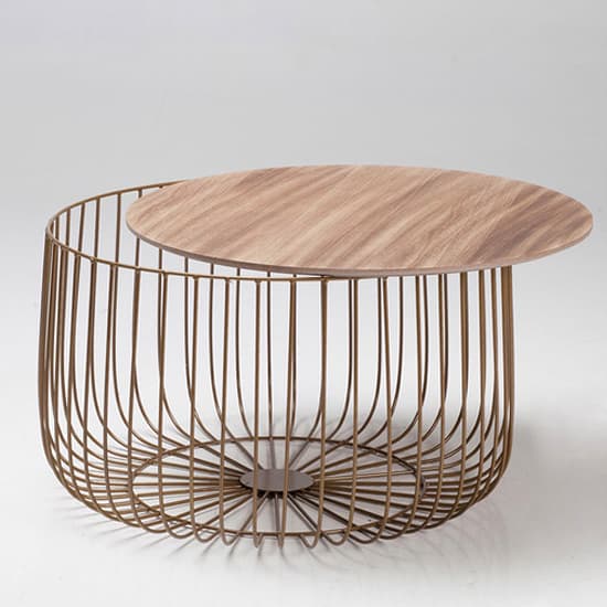 Enzi Large Wooden Coffee Table With Gold Cage Frame In Oak_3