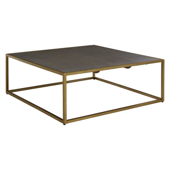 Fomalhaut Wooden Coffee Table With Gold Metal Frame In Brown_1