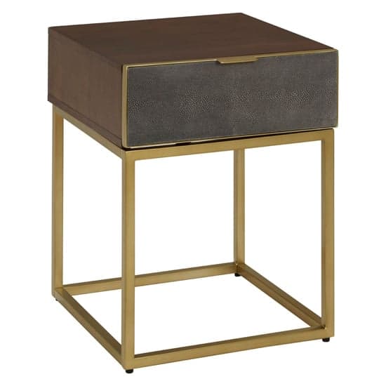 Fomalhaut Wooden End Table With Gold Metal Frame In Brown_1