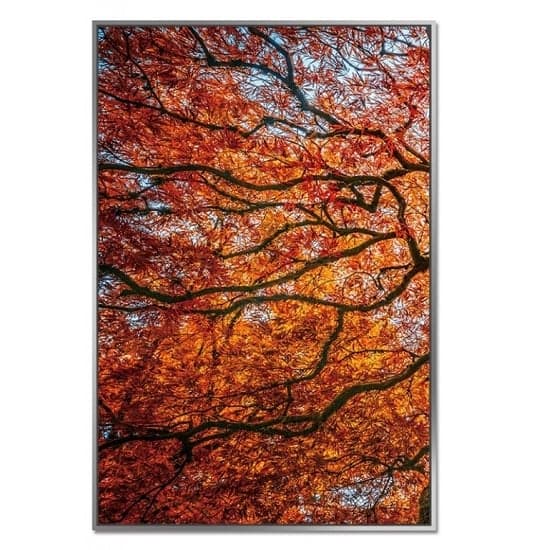 Acrylic Framed Autumn Tree Pictures (Set of Three)_2