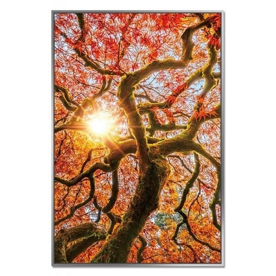 Acrylic Framed Autumn Tree Pictures (Set of Three)_3
