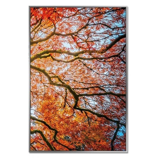 Acrylic Framed Autumn Tree Pictures (Set of Three)_4