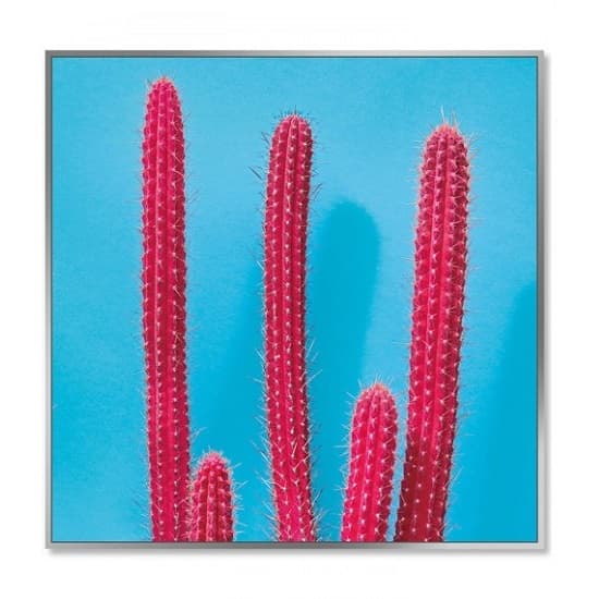 Acrylic Framed Cactus Pictures (Set of Three)_3