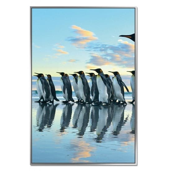 Acrylic Framed Penguin March Pictures (Set of Three)_3