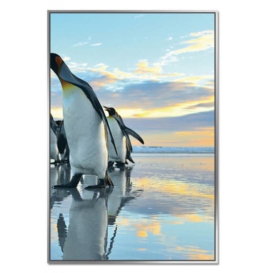 Acrylic Framed Penguin March Pictures (Set of Three)_4