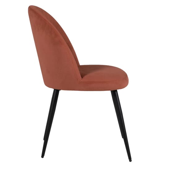 Gabbier Coral Velvet Dining Chairs With Black Legs In Pair_3