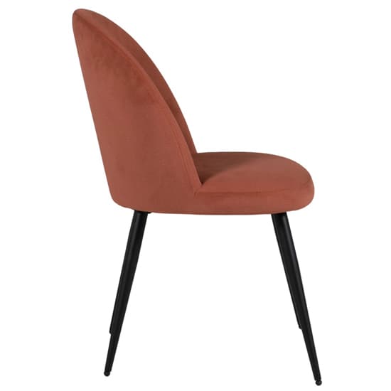 Gabbier Velvet Dining Chair With Black Legs In Coral_3