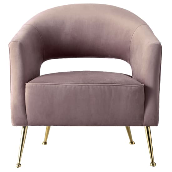 Gerania Velvet Arm Chair With Gold Metal Legs In Dusky Pink_3