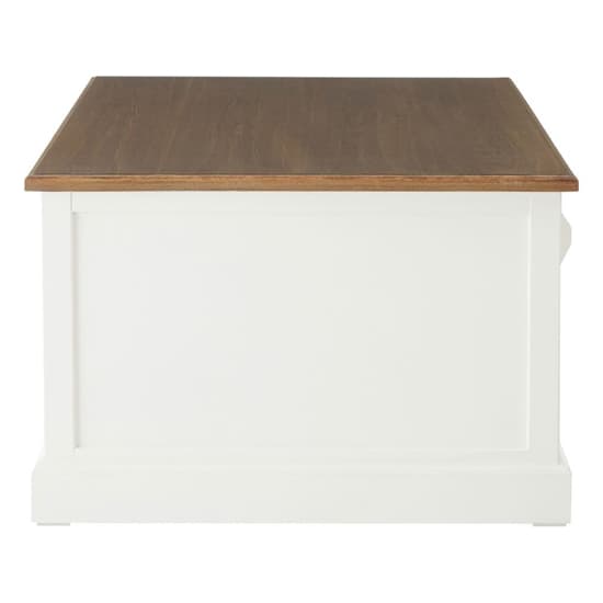 Hardtik Low Wooden Coffee Table In Natural And White_5