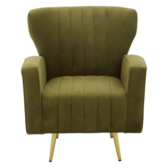 Hasselt Velvet Armchair In Green With Gold Metal Legs_2