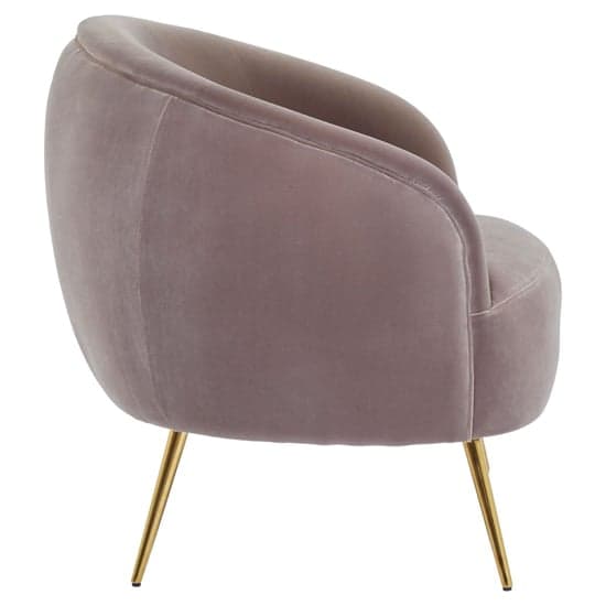 Intercrus Upholstered Velvet Armchair In Mink And Gold_4