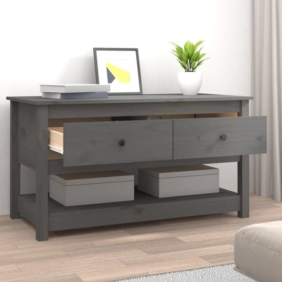 Janie Pine Wood Coffee Table With 2 Drawers In Grey_2
