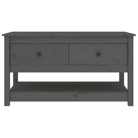 Janie Pine Wood Coffee Table With 2 Drawers In Grey_4