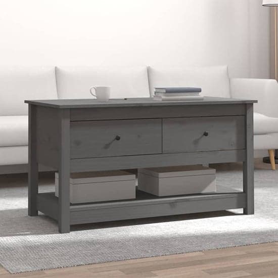 Janie Pine Wood Coffee Table With 2 Drawers In Grey_1